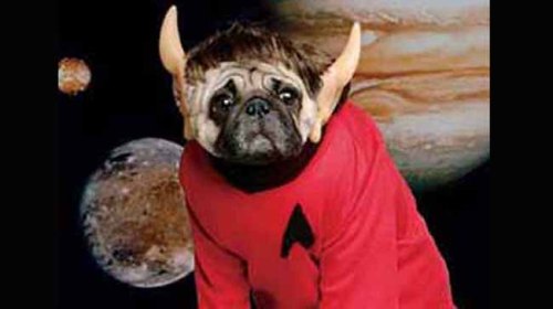 And he definitely wants no part of this.