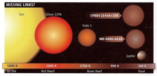 Brown dwarfs fall somewhere in the middle between stars and planets.