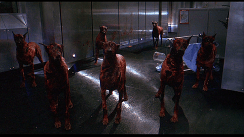 Ok, there were 7, not 8. 