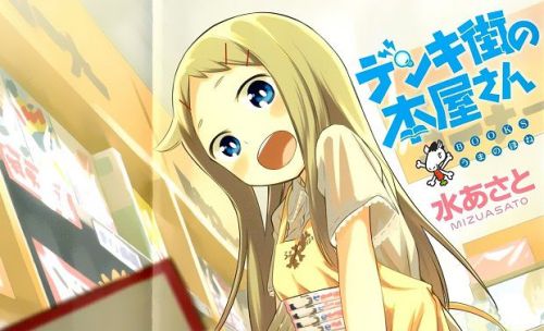 Denki-Gai-no-Honya-san